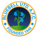 布鲁贝尔联logo
