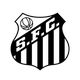 桑托斯女足logo