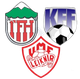 FHL女足logo