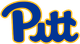 匹兹堡黑豹女足logo