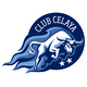 塞拉亚logo