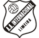 国际里梅拉青年队logo