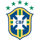 巴西沙滩足球队logo