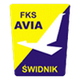 威亚斯威德尼克logo