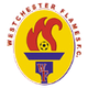 切斯特火焰logo