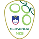 斯洛文尼亚女足U19logo