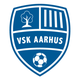 VSK奥胡斯logo