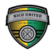 尼科联logo