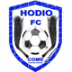 霍迪奥logo