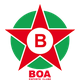博阿logo